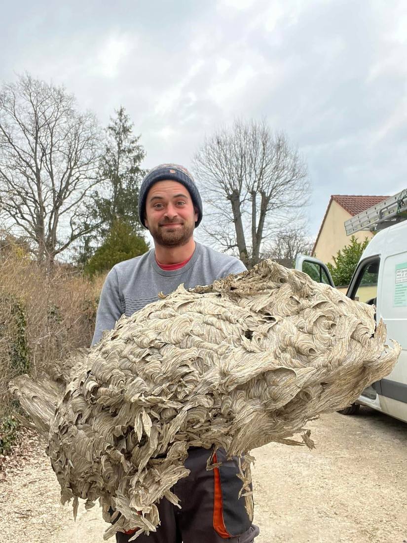 Technicien présentant un grand nid de guêpes près du camion