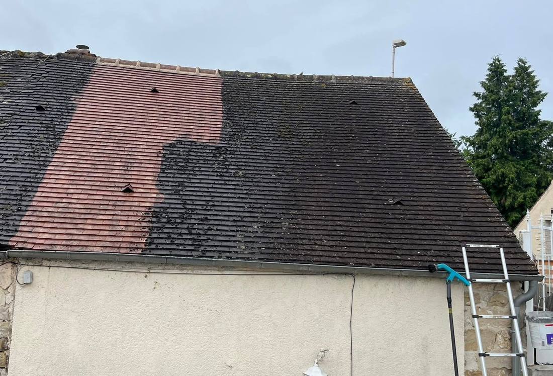 Lavage de toiture à la perche depuis une échelle