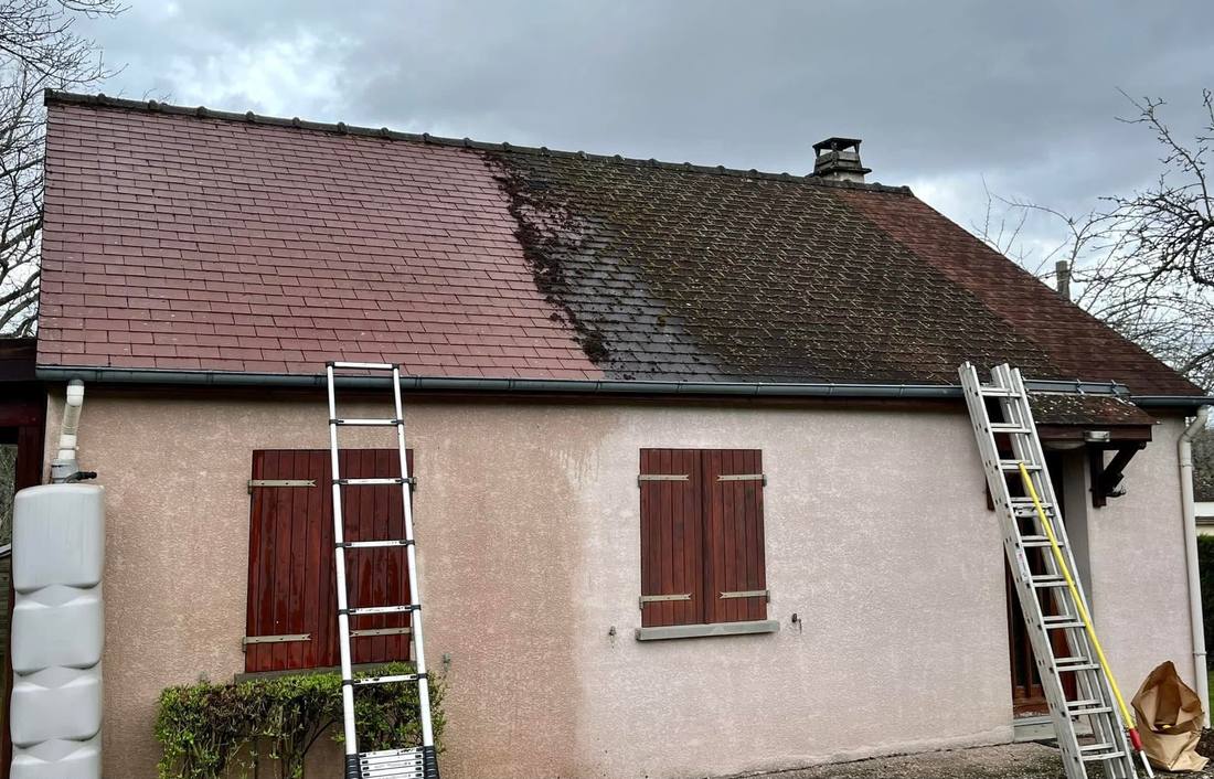 Toiture de pavillon à moitié démoussée