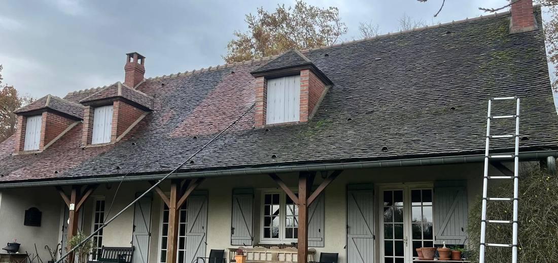 Toiture de longère envahie de mousse avant intervention