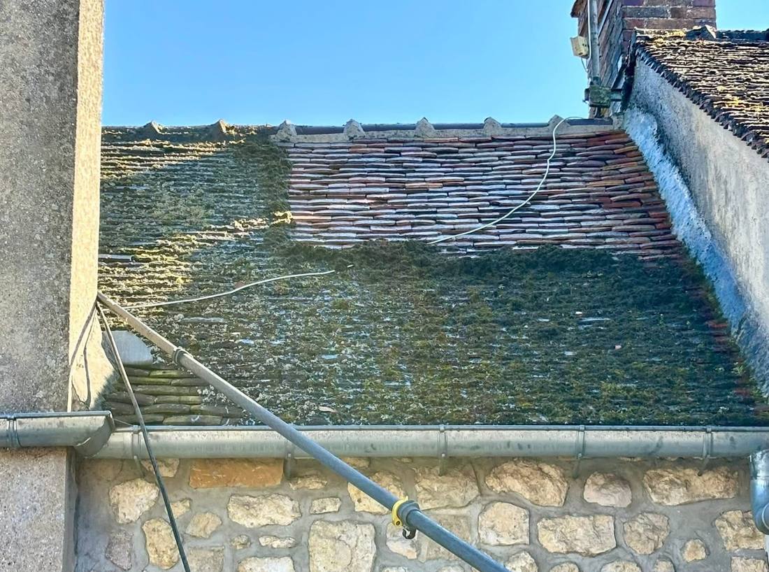Démoussage en cours sur des tuiles plates envahies de mousse